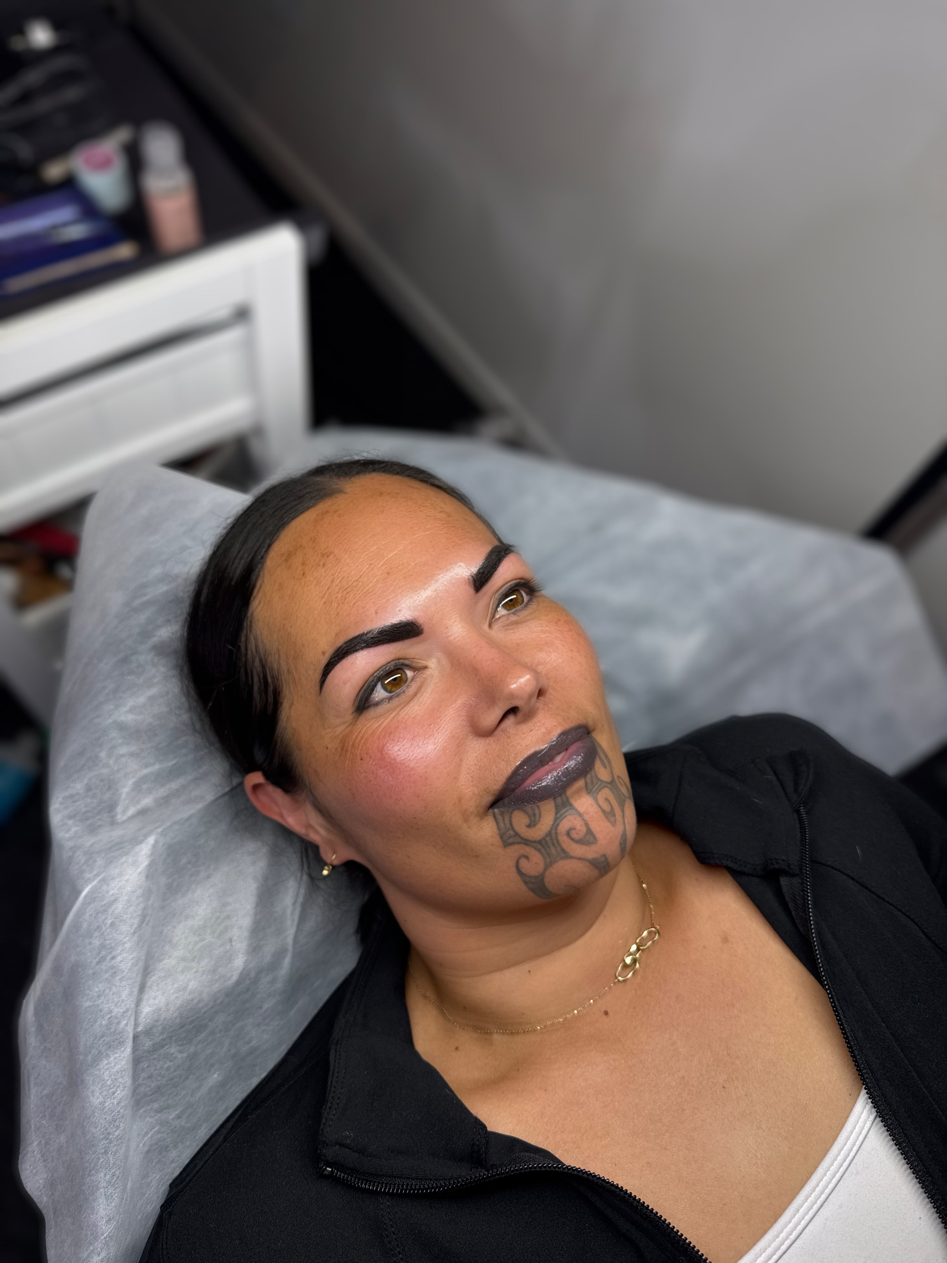 Ombre & Powder Brows Refresher Course